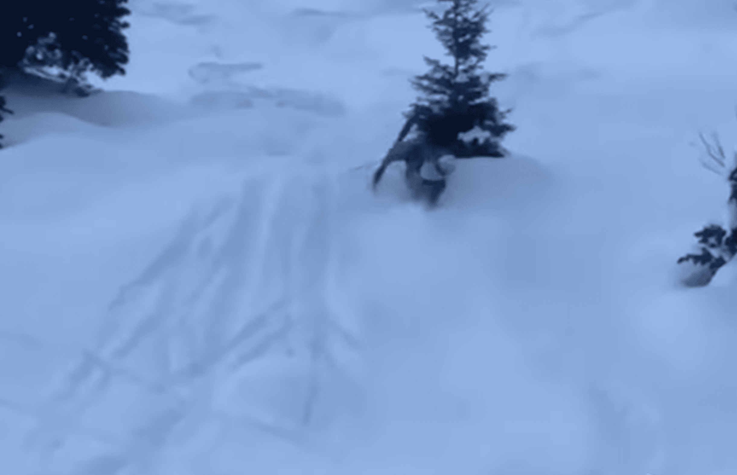 Jerry Of The Day: Skier Chops Down Tree With His Face