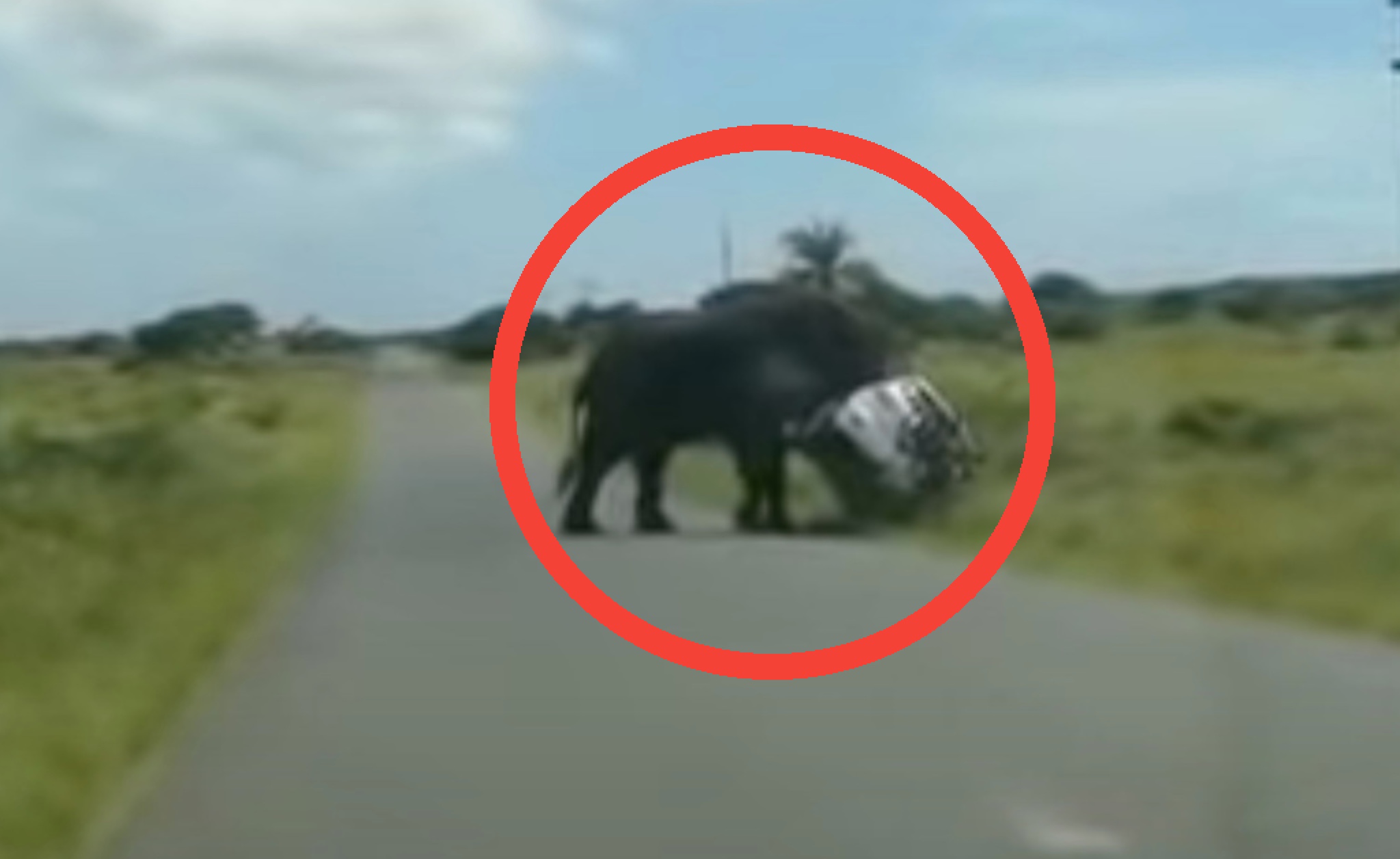 VIDEO: South African Elephant Flips SUV With Family of 4