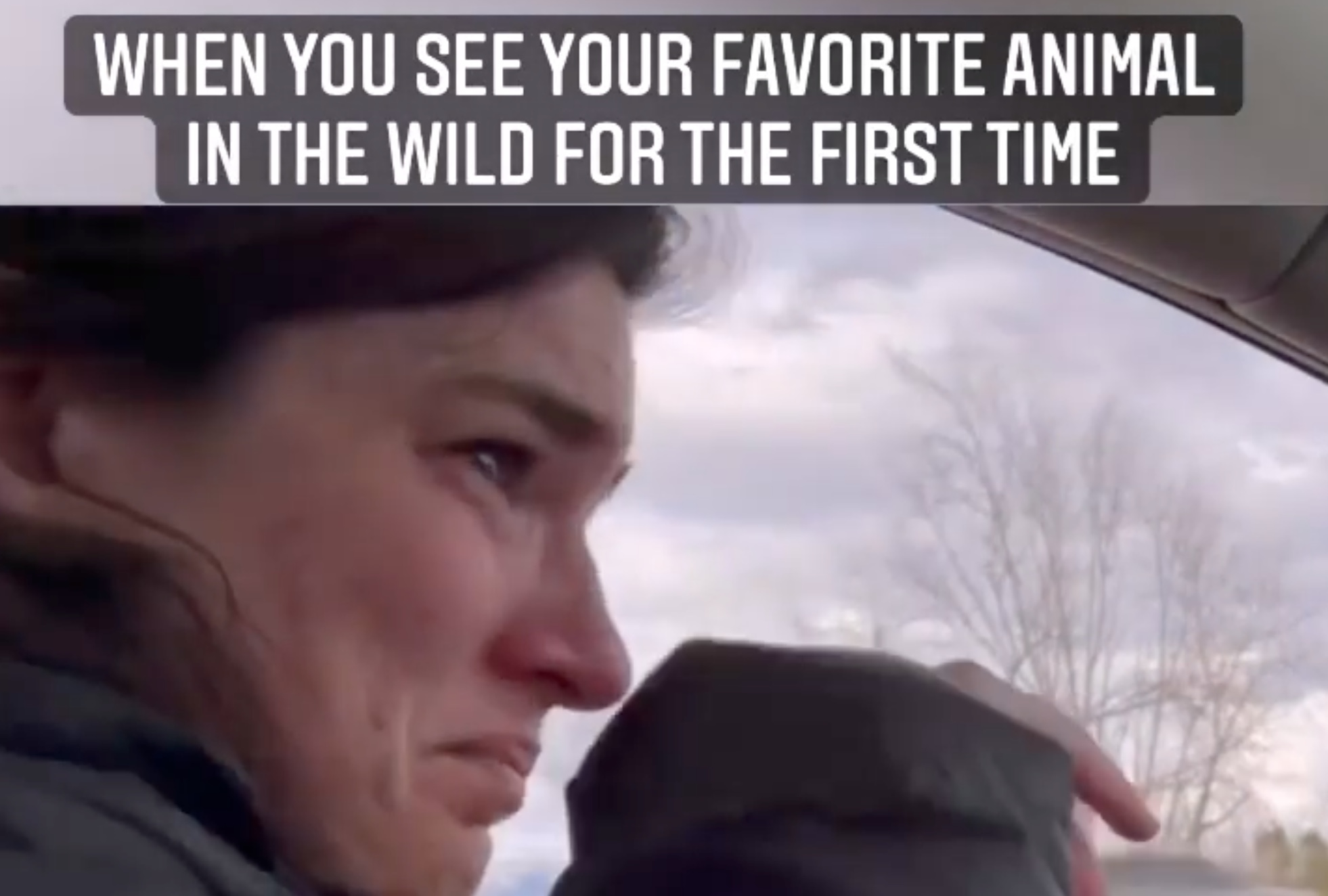 Woman Brought To Tears At First Moose Sighting in Grand Teton National Park