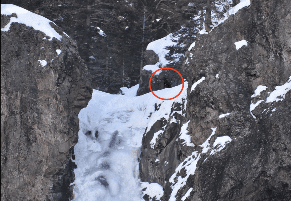 Colorado Dog Found At The Top Of A Frozen Waterfall After A Week Missing