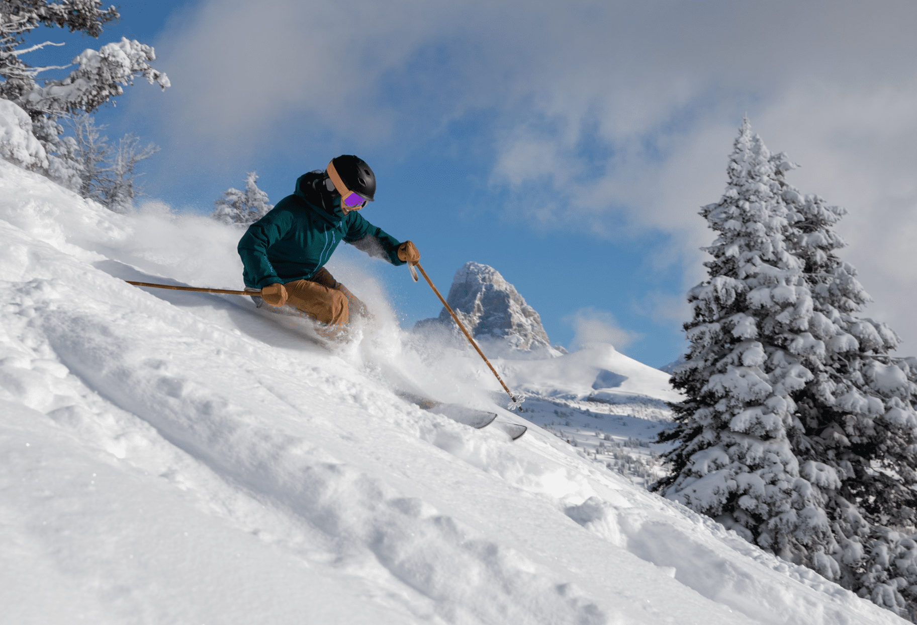 Grand Targhee's Expansion Could Be Cancelled Due to Potential Wildlife Endangerment