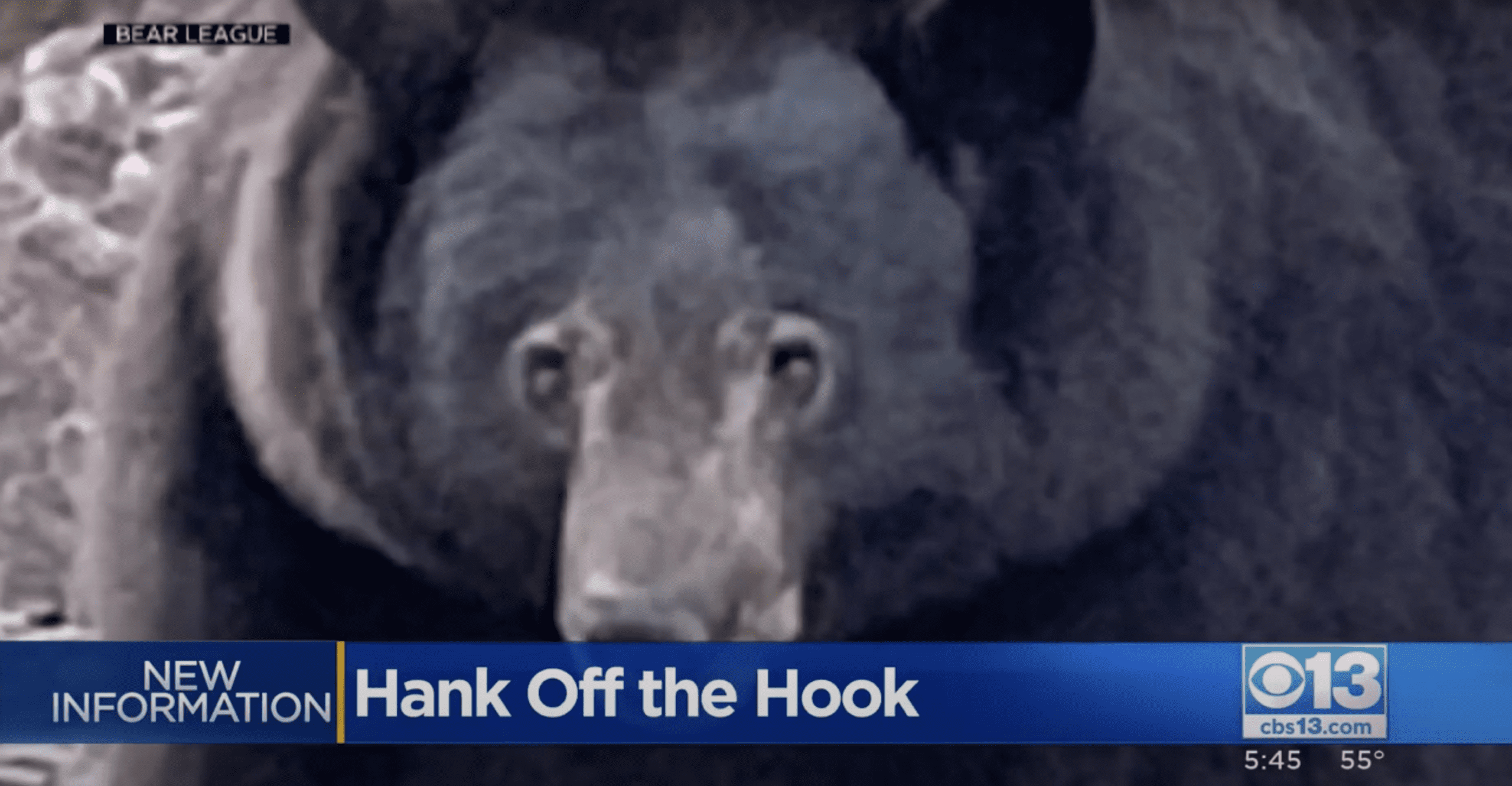 DNA Evidence Proves 500-Pound Hank The Tank Is Innocent