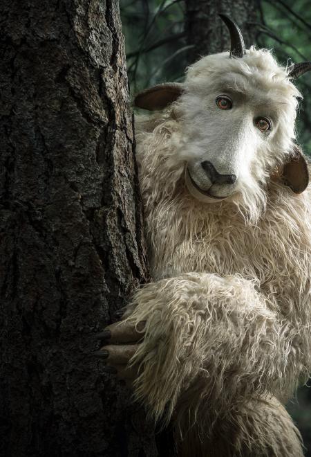 Did You Know Colorado Parks & Wildlife Has A Hybrid Yeti/Goat  “Spokes-Creature”