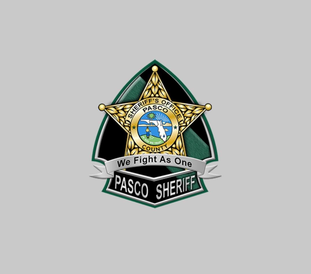 Florida Deputies Warn Swimmers Of Sharks Off Pasco County Coast ...