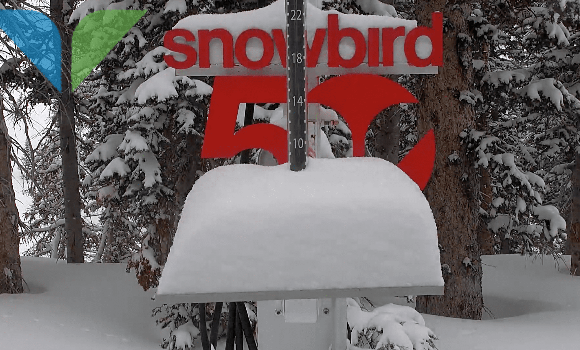 Snowbirds Employee Appreciation Powder Day Looked Amazing