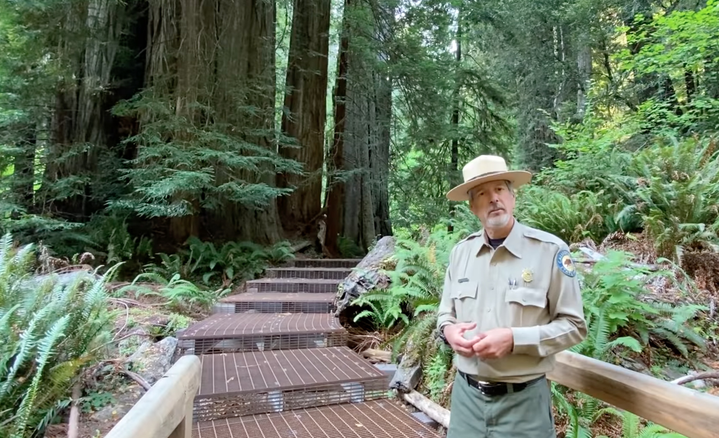 Once-Secret Grove of California Redwoods Now Open To Public