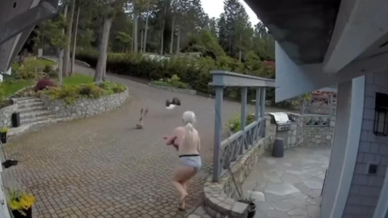 Breast Feeding Mother Protects Pet Goose From Attacking Eagle (Watch)