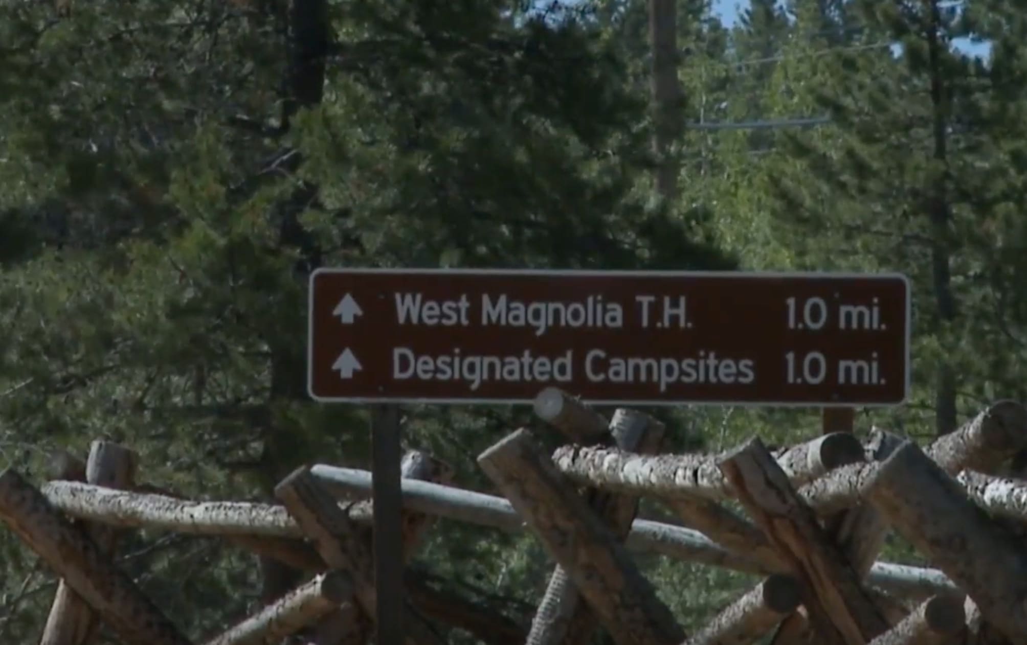 Colorado Man Walking Dogs Stomped & Possibly Bitten By Moose