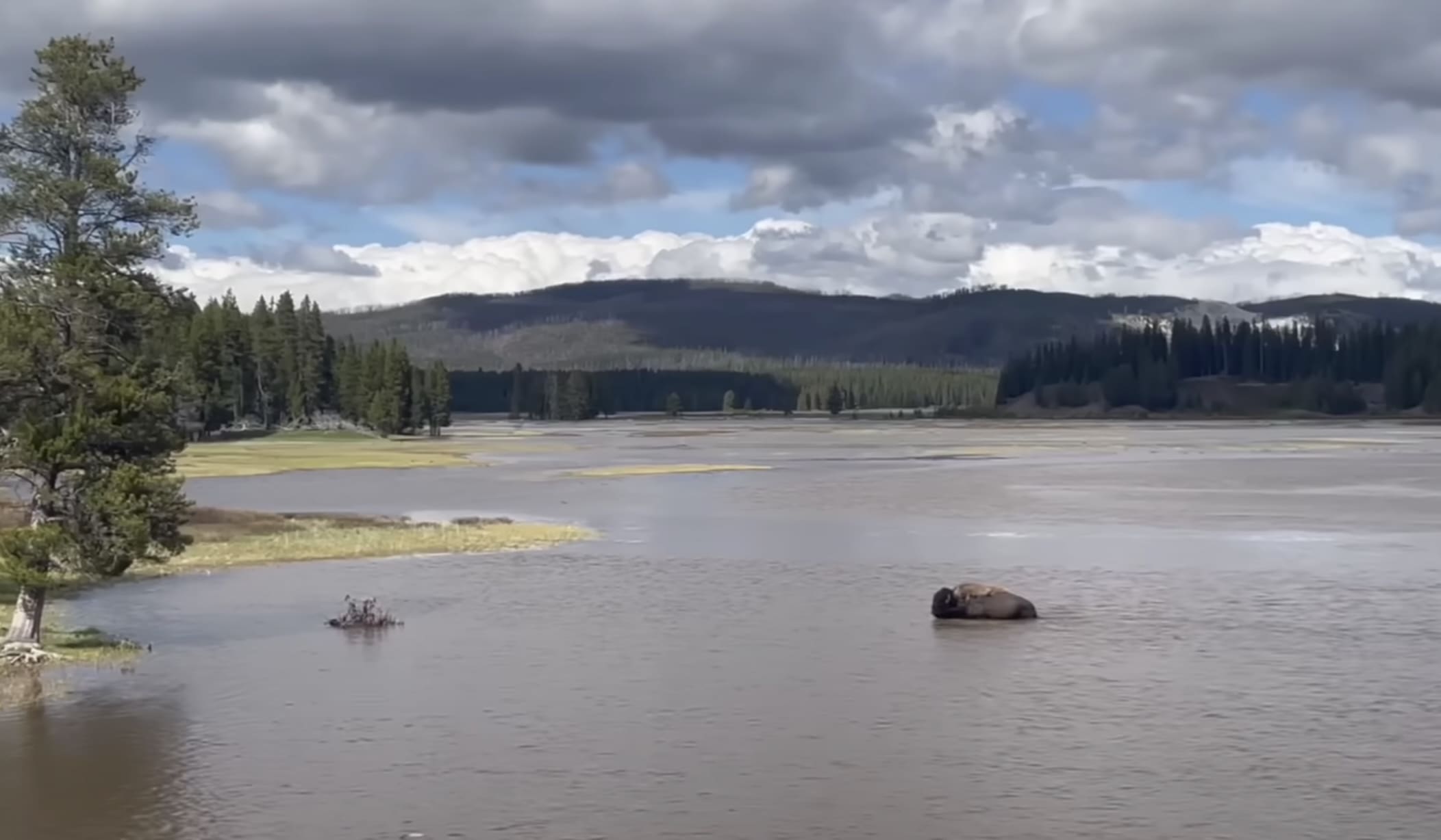 WATCH Eyewitness Reports of Yellowstone Flooding & Evacuation