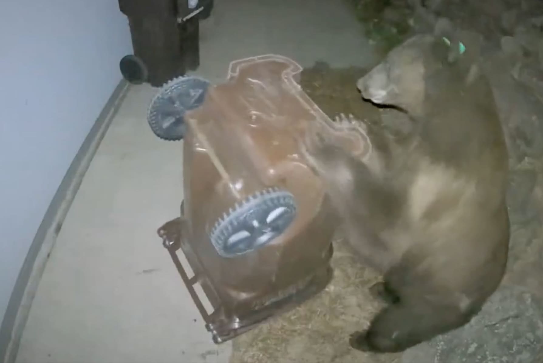 Bear-Proof Garbage Can Breached In Under 30 Seconds