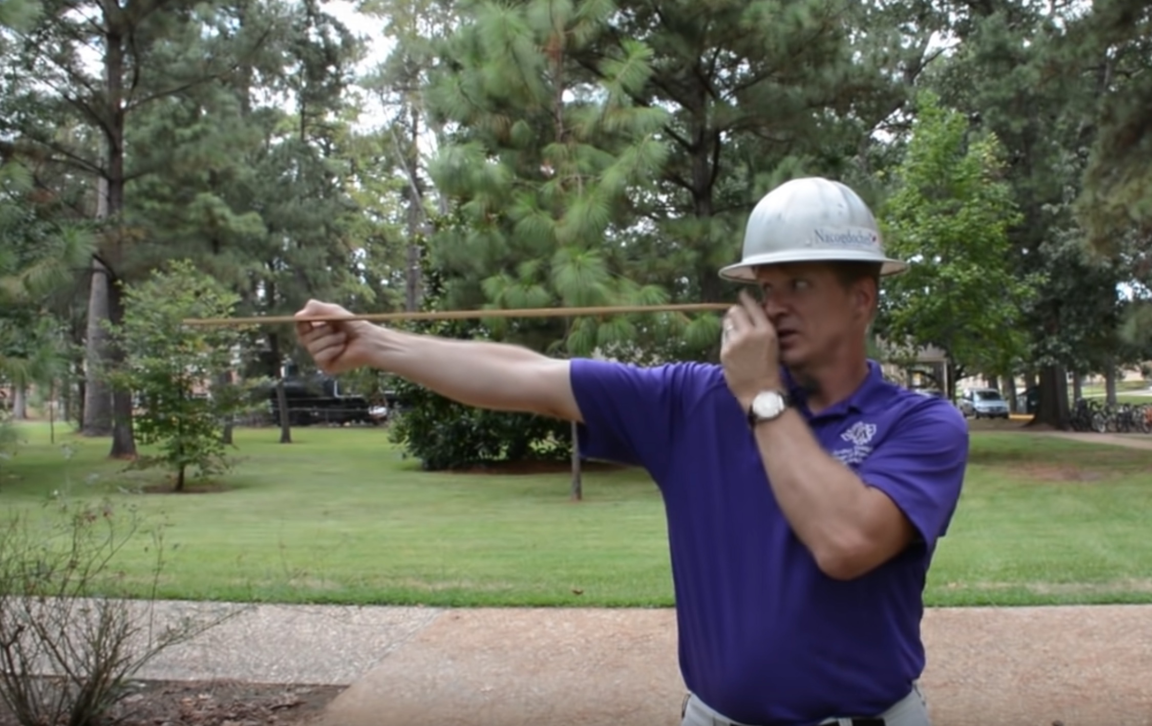 How To Measure A Tree's Height Using A Yardstick