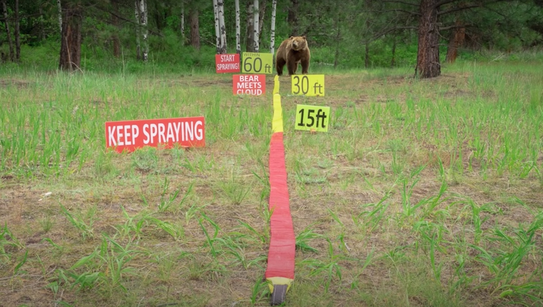 WATCH: How To Properly Deploy Bear Spray