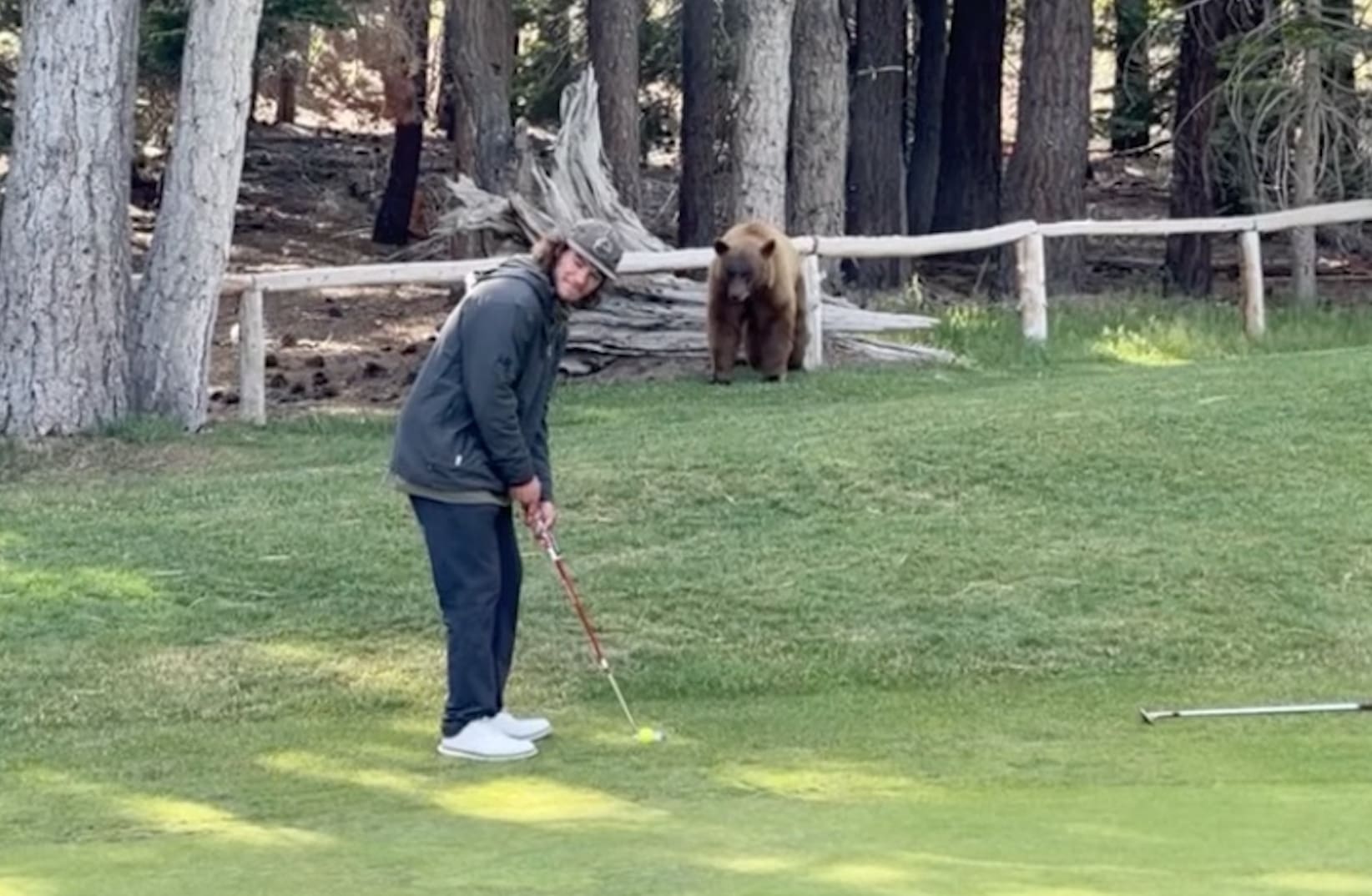 Could You Sink A Putt With A Bear Staring You Down?