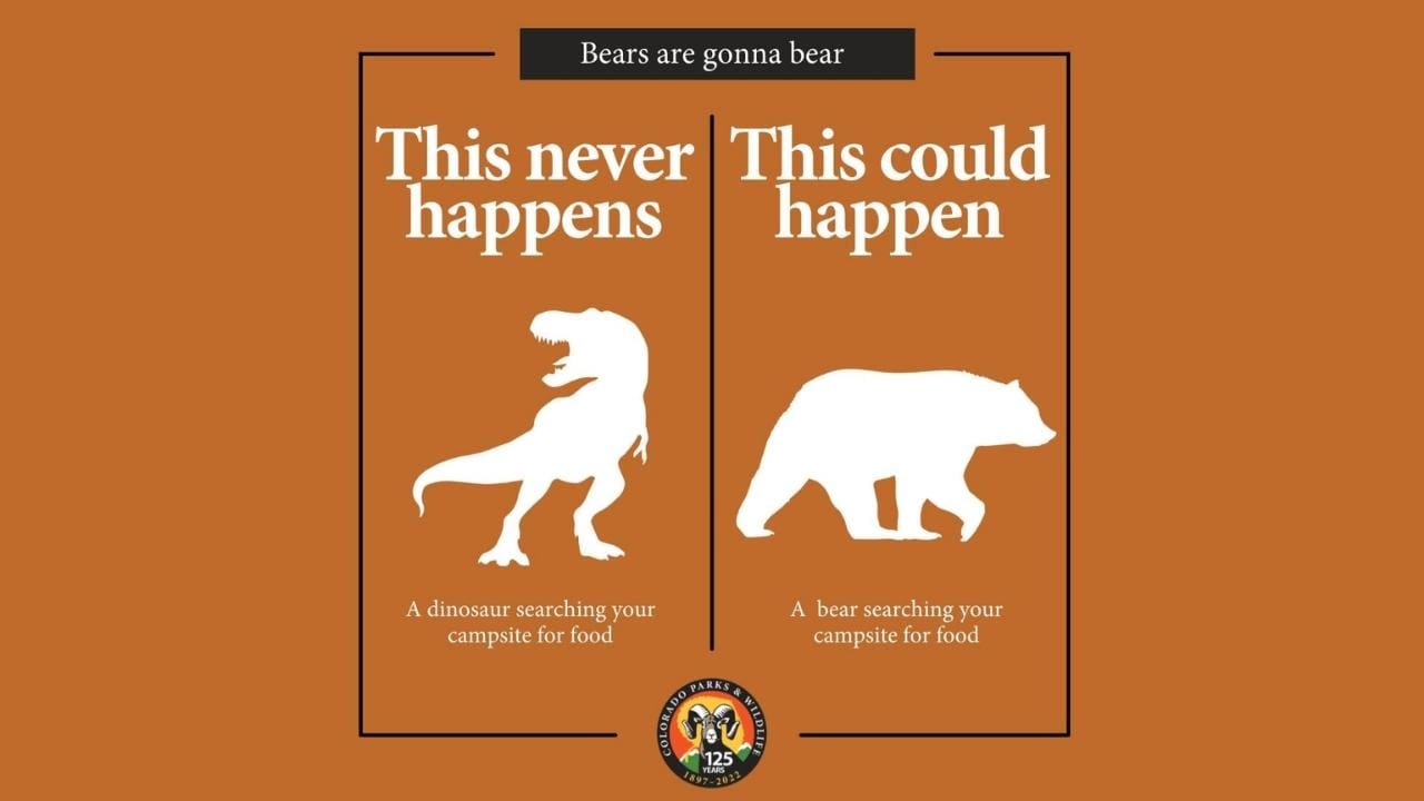 Parks & Wildlife's Funny Meme Draws Attn To Camping In Bear Country Parks & Wildlife's Funny Meme Draws Attn To Camping In Bear Country