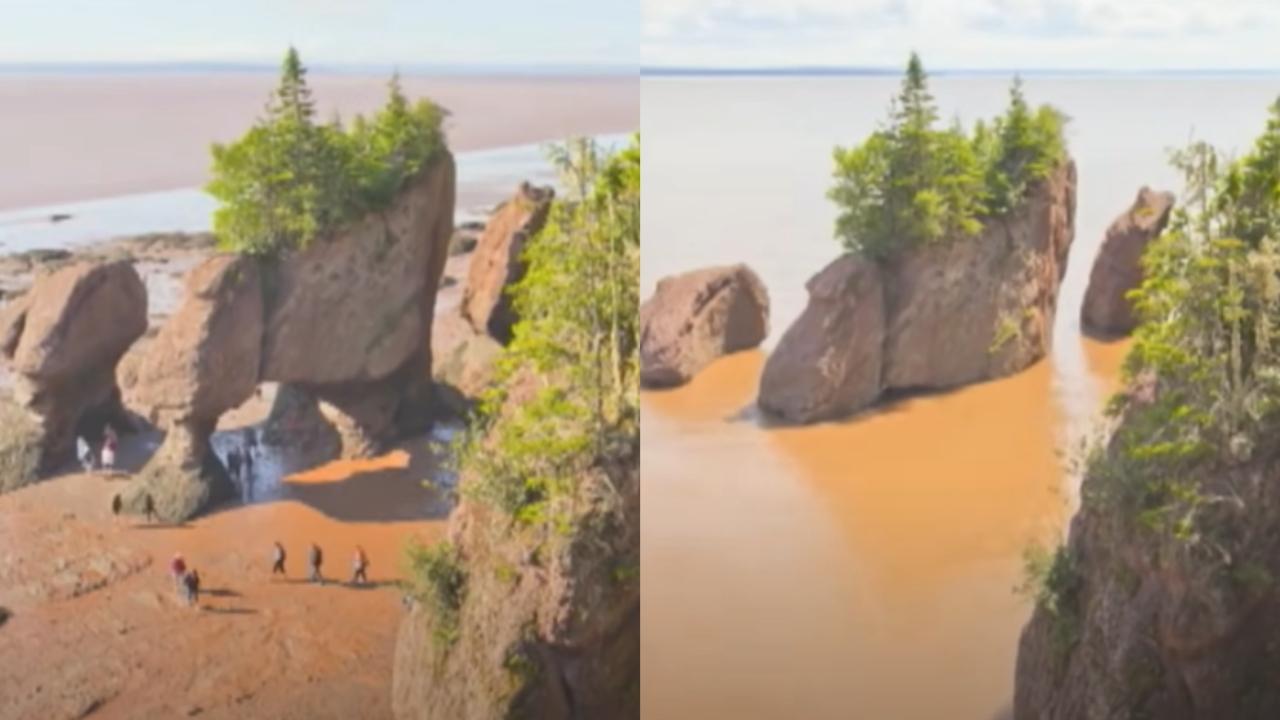 The Tide Rises & Falls 45 Feet Here Every Day (Watch)
