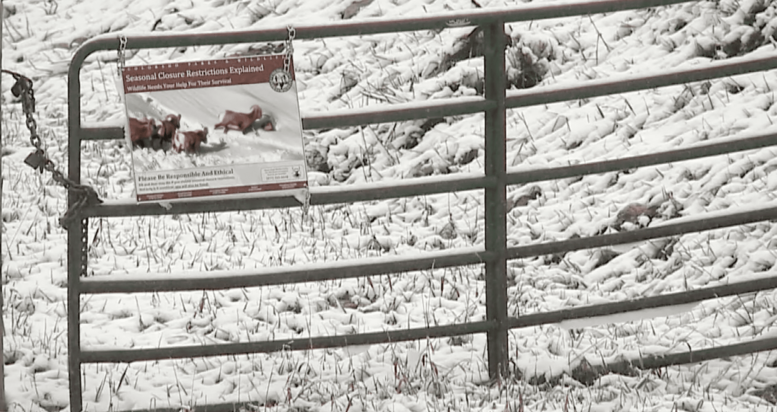 Vail Town Council Blocks Permits For Vail Resorts Employee Housing Expansion