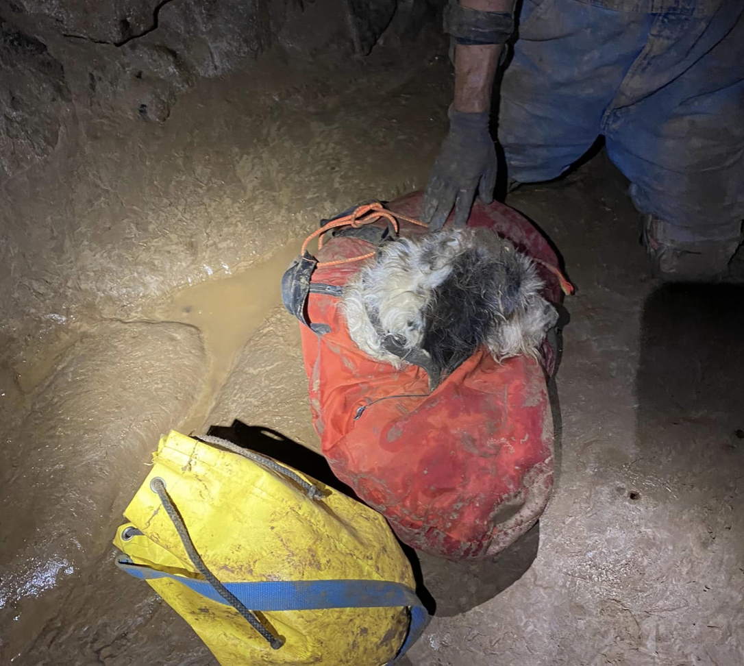 Spelunkers Find And Rescue Missing Dog In 24 Mile Long Missouri Cave