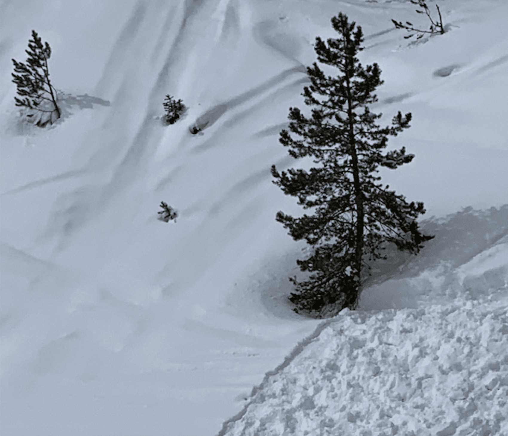 Unexploded Avalanche Control Device Found On Breckenridge’s Peak 7