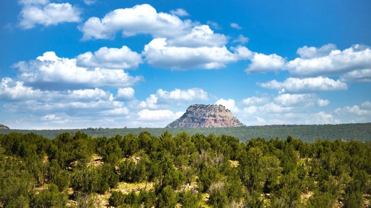 543 Acre New Mexico Ranch: Home To Elk, Cougars, & Bears For Sale