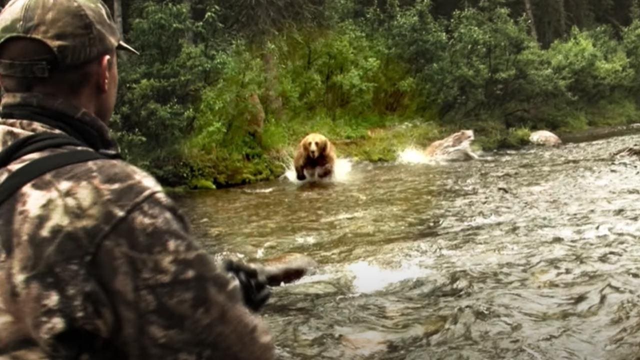 Hunter Shoots At Charging Grizzly (Intense Video)