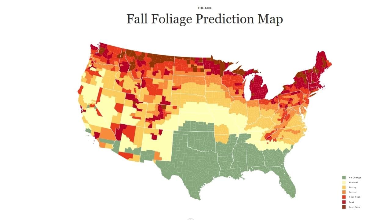 Interactive Fall Foliage Prediction Map: When Will Your Area Peak?