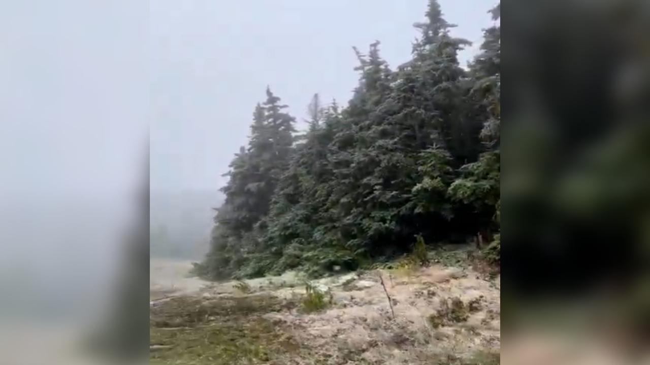 First Snow Of The Season Spotted At Vermont Ski Resort! (Video)
