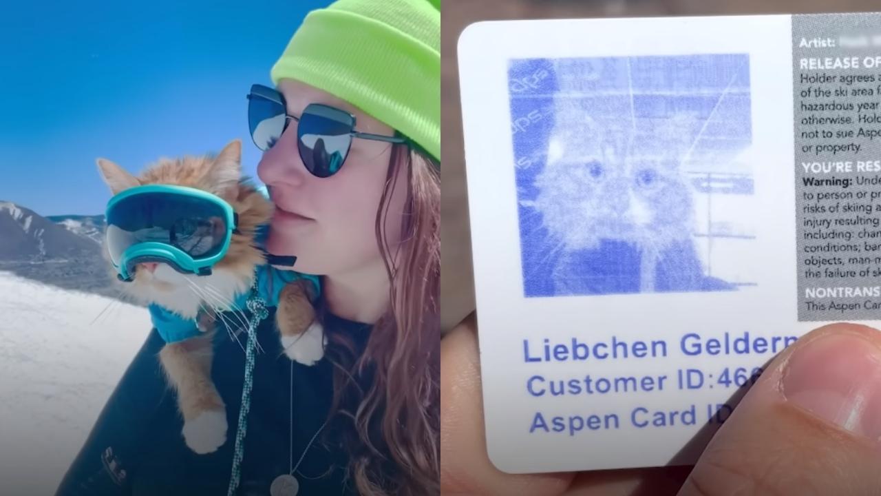 Meet The Colorado Cat Who Has His Own Ski Pass (Video)