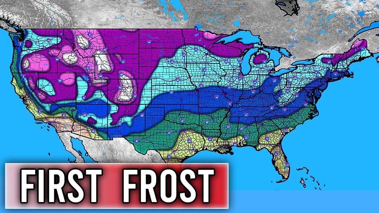 When To Expect Your First Frost