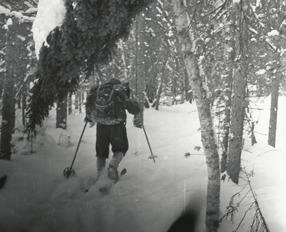 WATCH: New Evidence Suggests An Answer The Dyatlov Pass Mystery