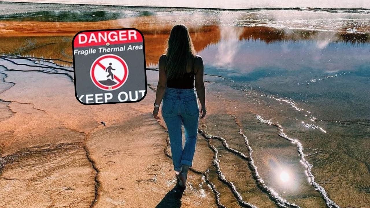 Influencer With 500k Followers Blasted For Illegal Yellowstone Photo-Op