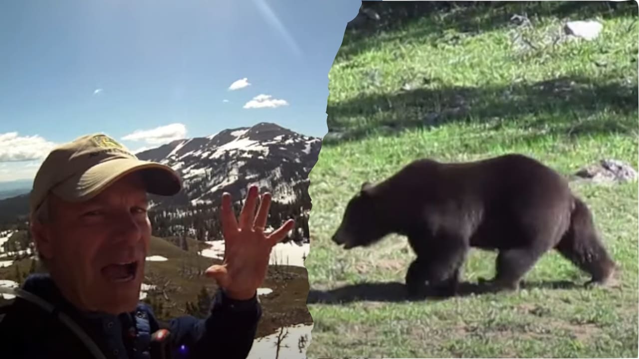 WATCH: Solo Hiker Surrounded By Six Grizzly Bears