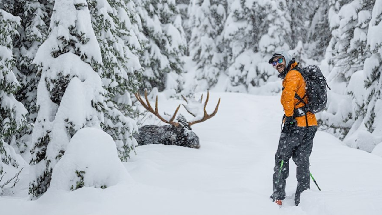 Skier Encounters Moose Deep In Chic-Choc Mountains