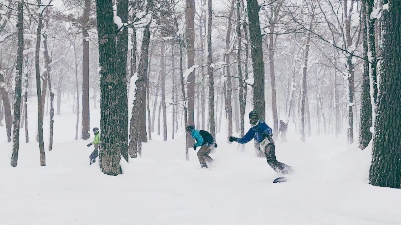Mount Bohemia Adds Five New Glade Runs