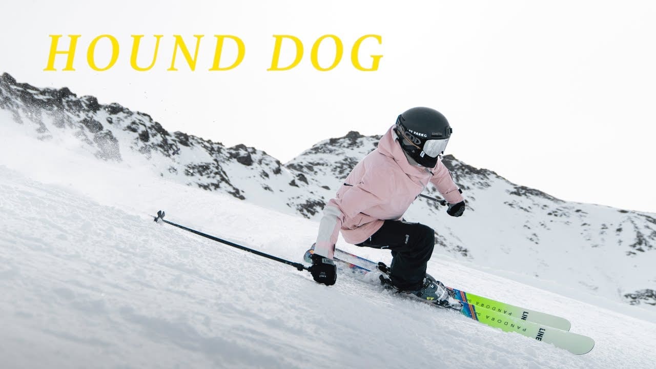 WATCH: Hound Dog | With Stefanie Mössler & Biene