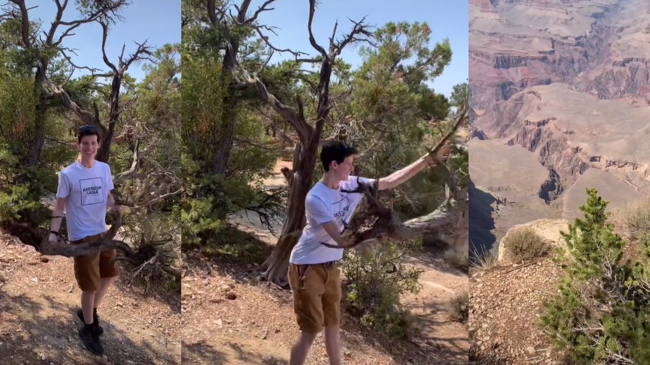 Ignorant Teenager Throws Dead Tree Into Grand Canyon (Watch)
