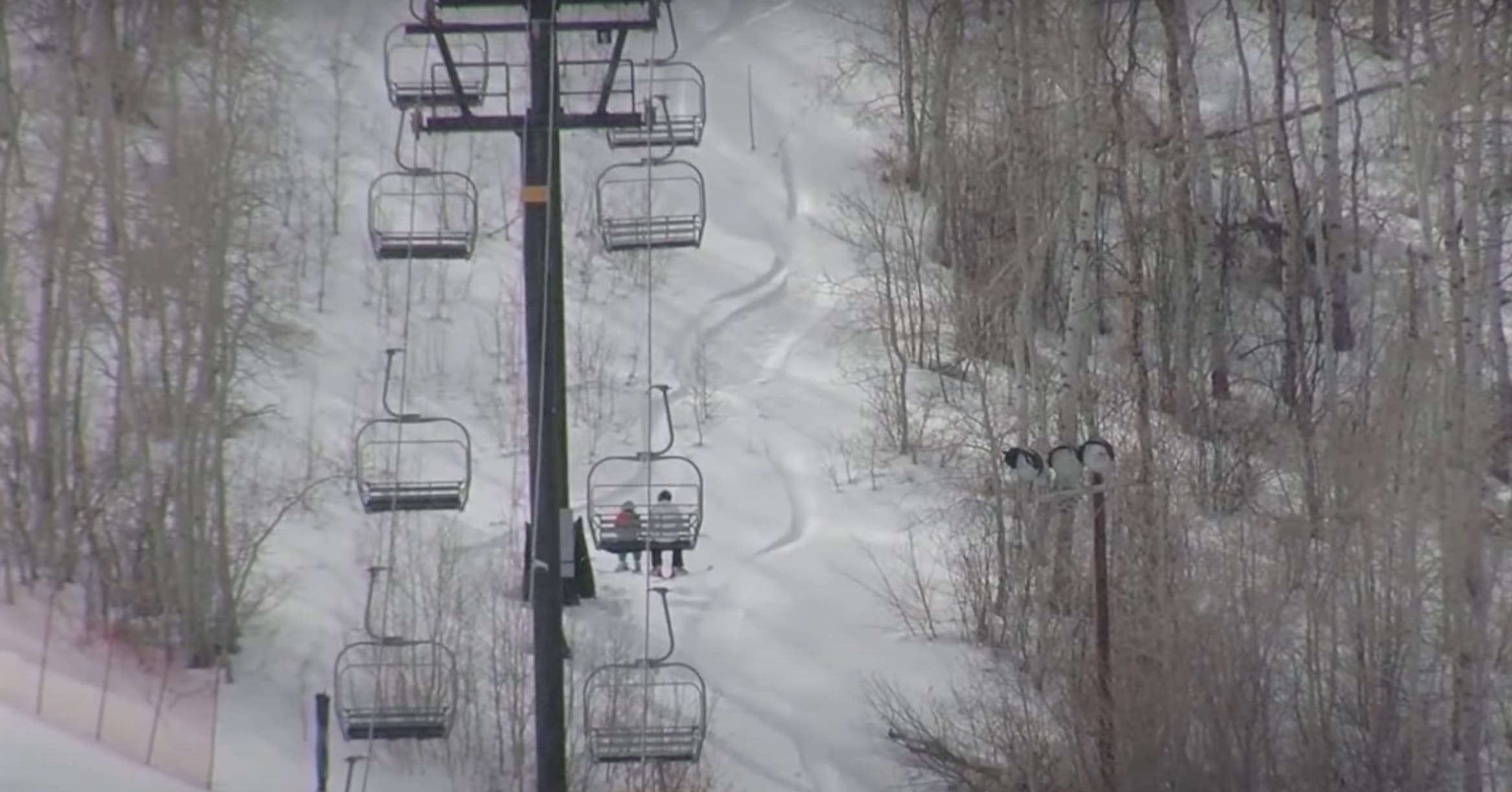 Park City Mountain Resort Employee Dead After Tree Falls On Chairlift Cable
