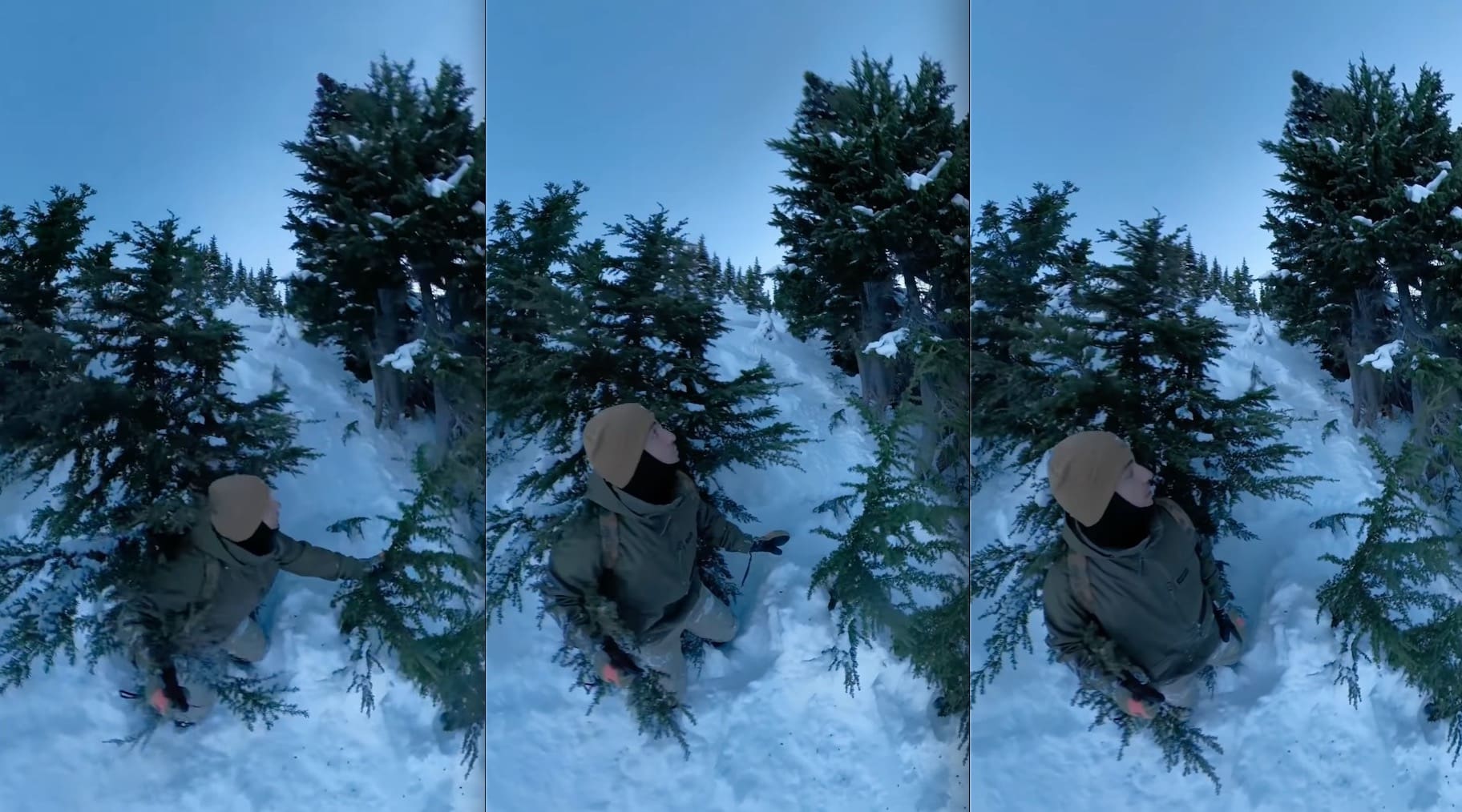 VIDEO: Oblivious Snowboarder Doesn't Realize He's Next To A Bear