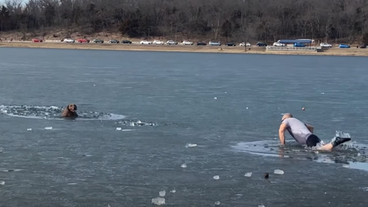 Stranger Rescues Dog From Frozen Lake, Owner Doesn't Care (Watch)