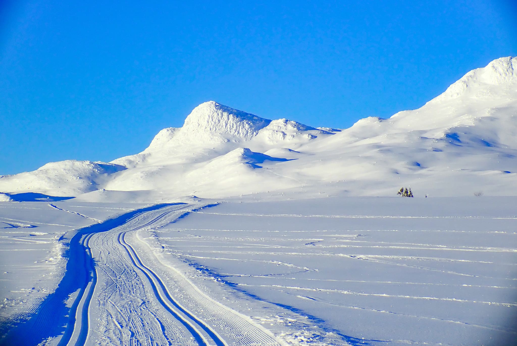 Five Reasons Why Alpine Skiers Should Try Nordic Skiing