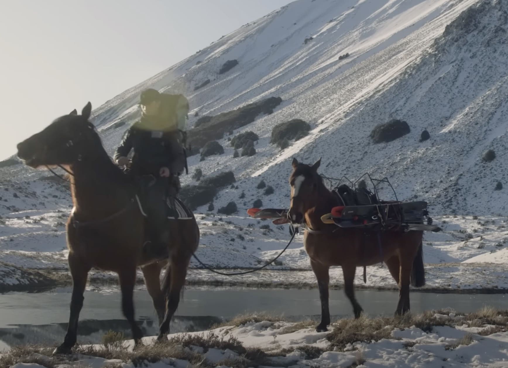 VIDEO: Using Horses To Access Backcountry Skiing in New Zealand