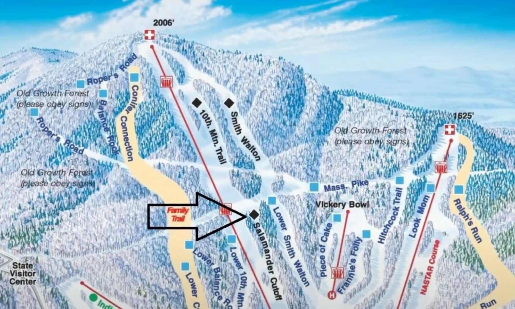 Skier In Massachusetts Dies After Crashing Into Tree