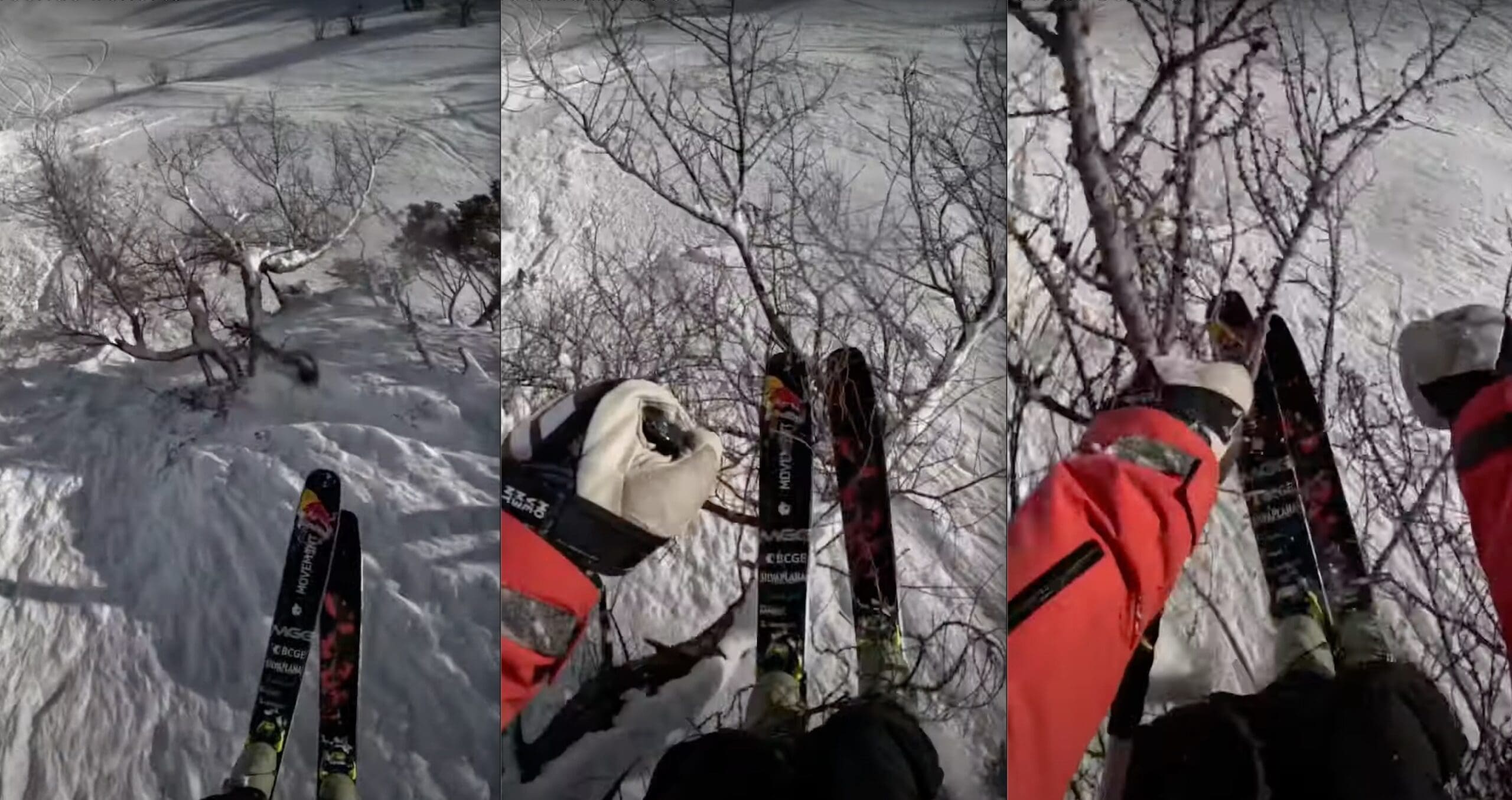VIDEO: Freeride World Tour Skier Blasts Through Trees After Landing Backflip