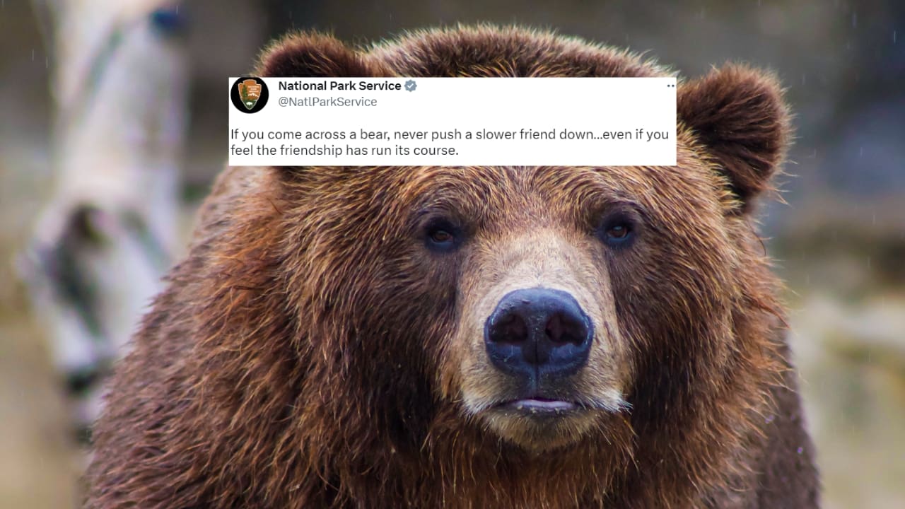 National Parks Service On Bear Encounters: "Never push a slower friend down"