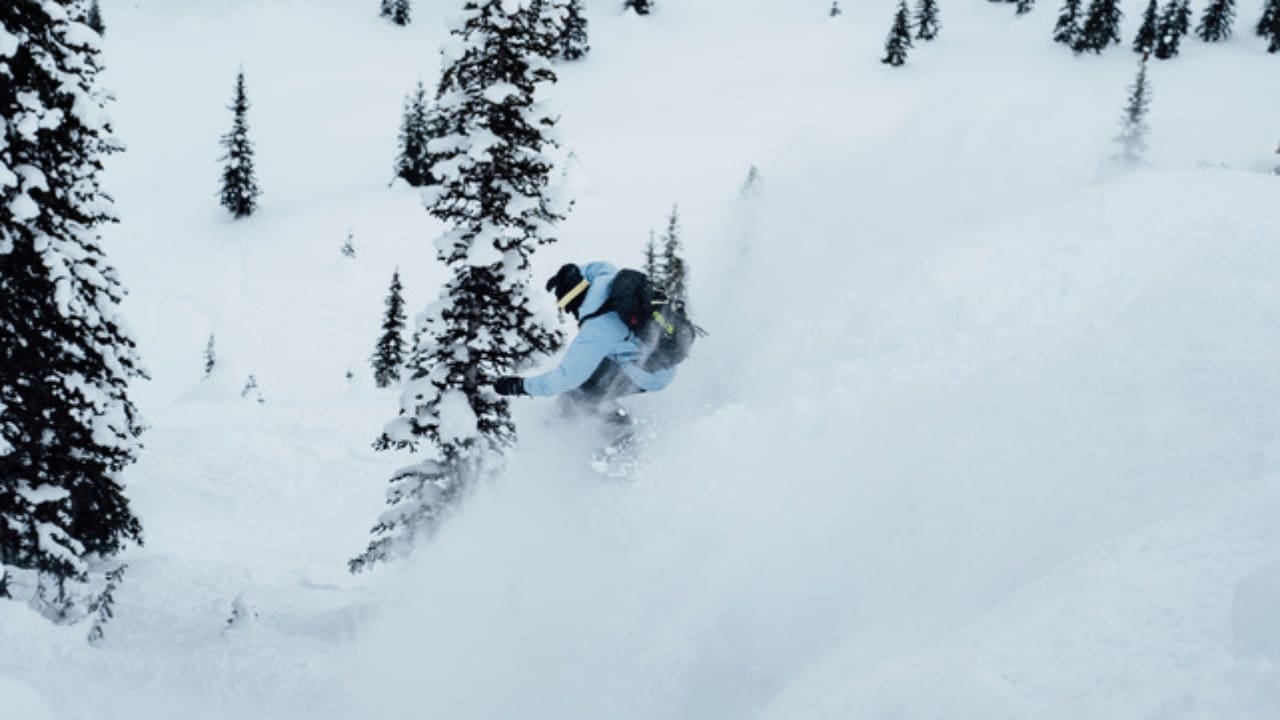 Natural Selection Revelstoke Starts NOW (Watch Here)