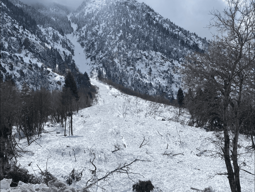 This Is Exactly Why Utah's Cottonwood Canyons Keep Closing (Photos & Videos)