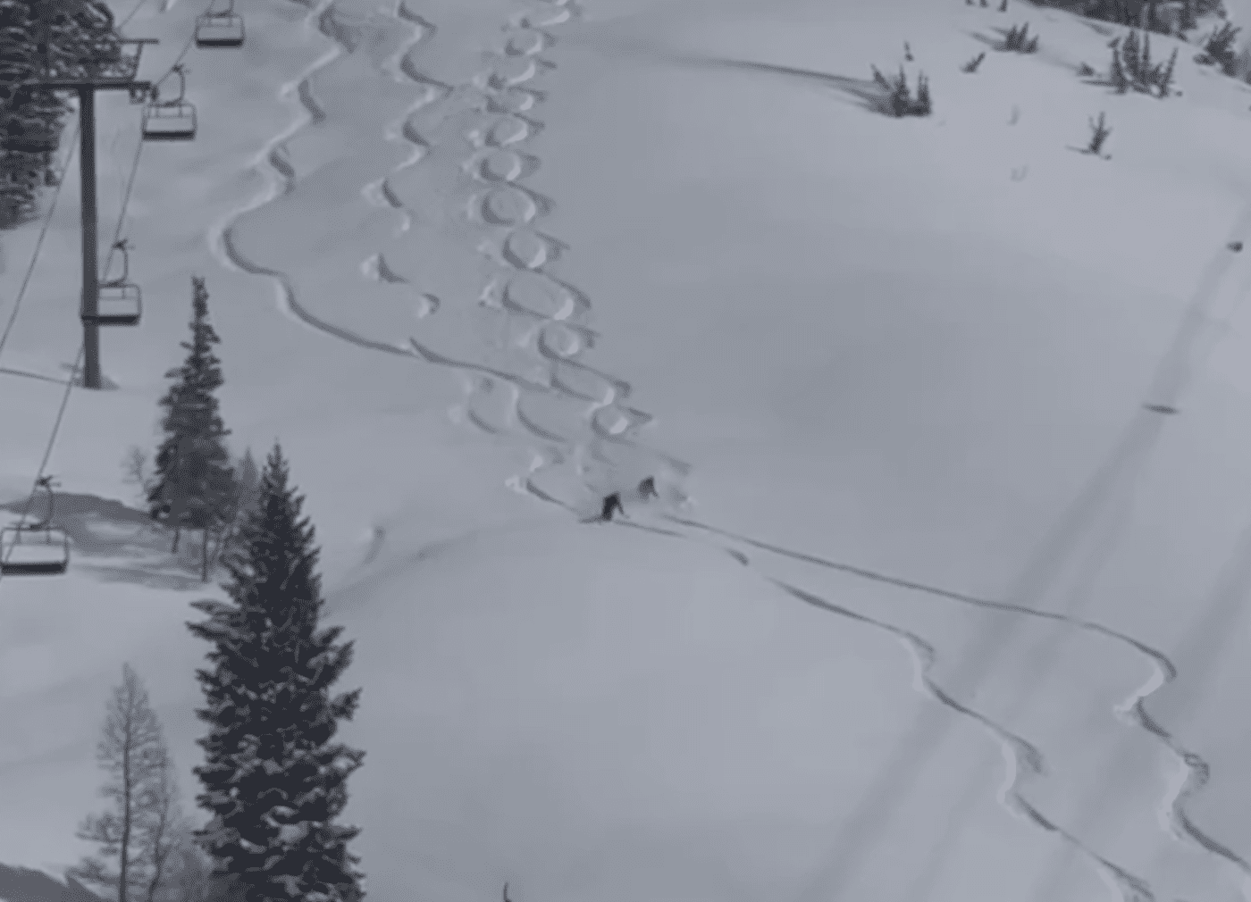 WATCH: Snowbird Ski Patrol Rips DEEP Fresh Turns After 63" Snow Dump