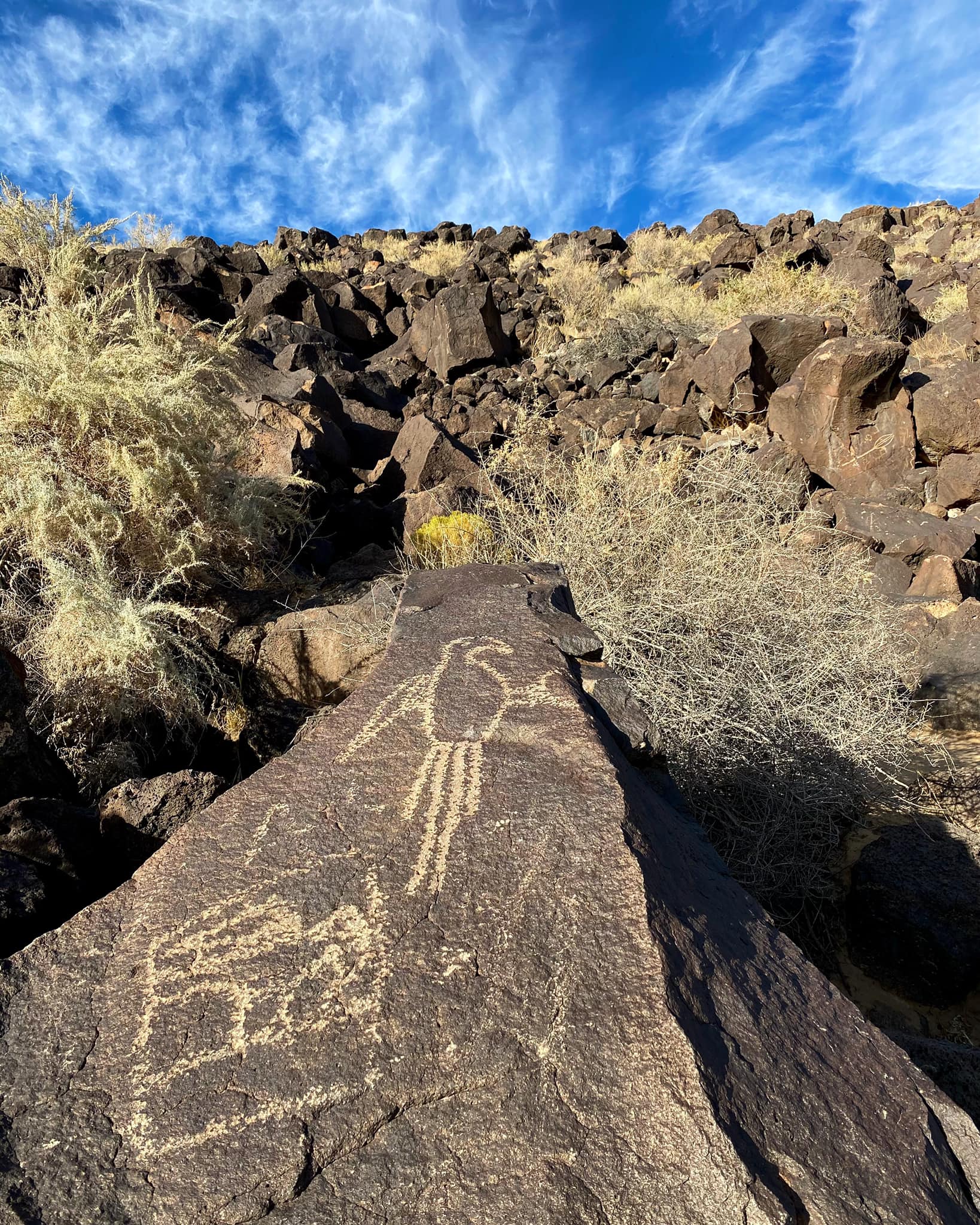 Petroglyphs National Monument Access Restricted After Years of Damage ...