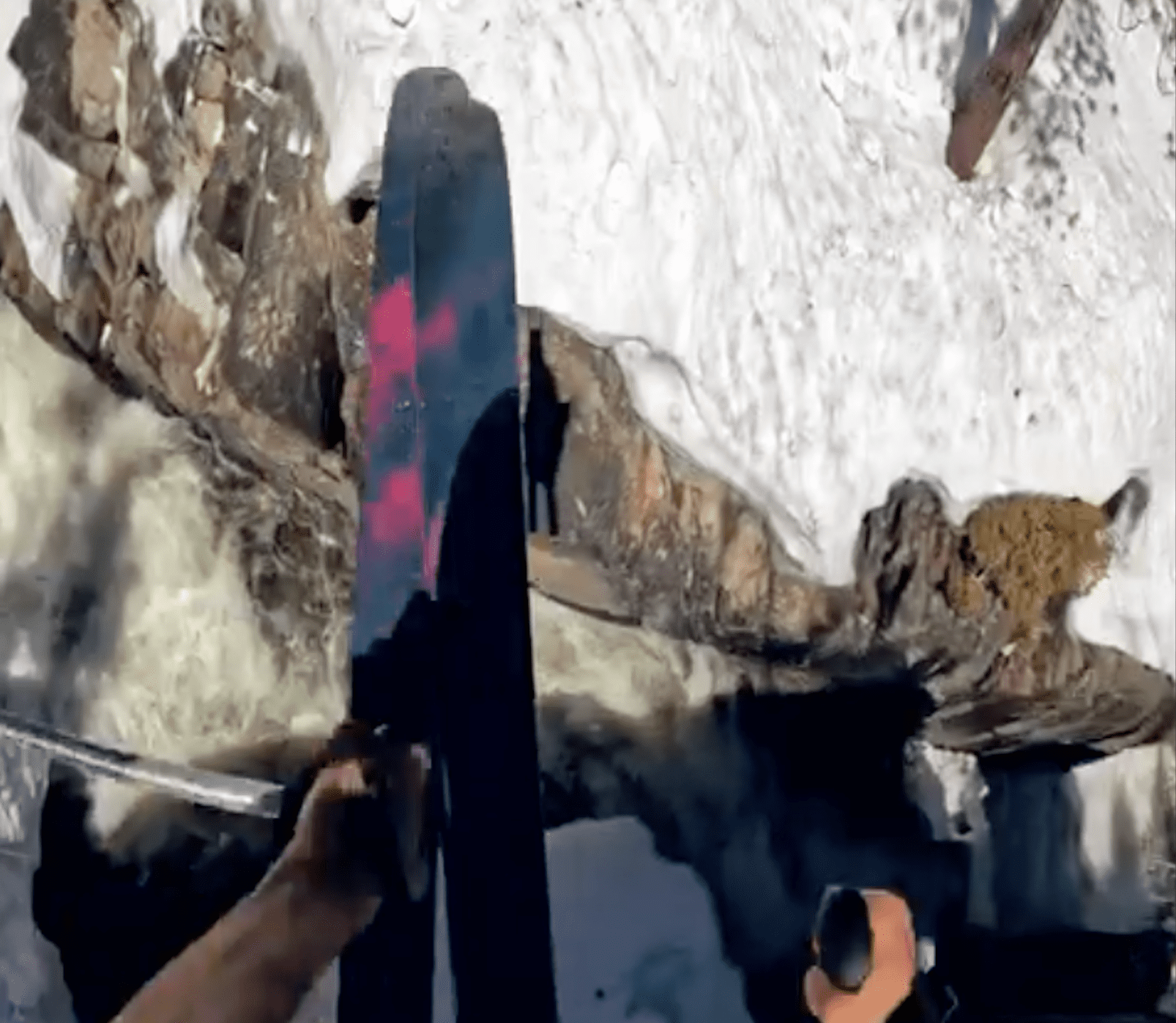 WATCH: Skier Comes Dangerously Close To Death In Failed River Jump Attempt