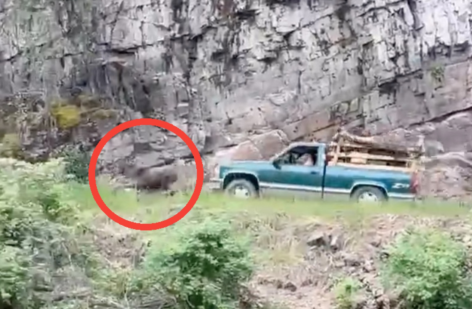 Idaho Officials Looking For This Pickup Filmed Chasing A Moose