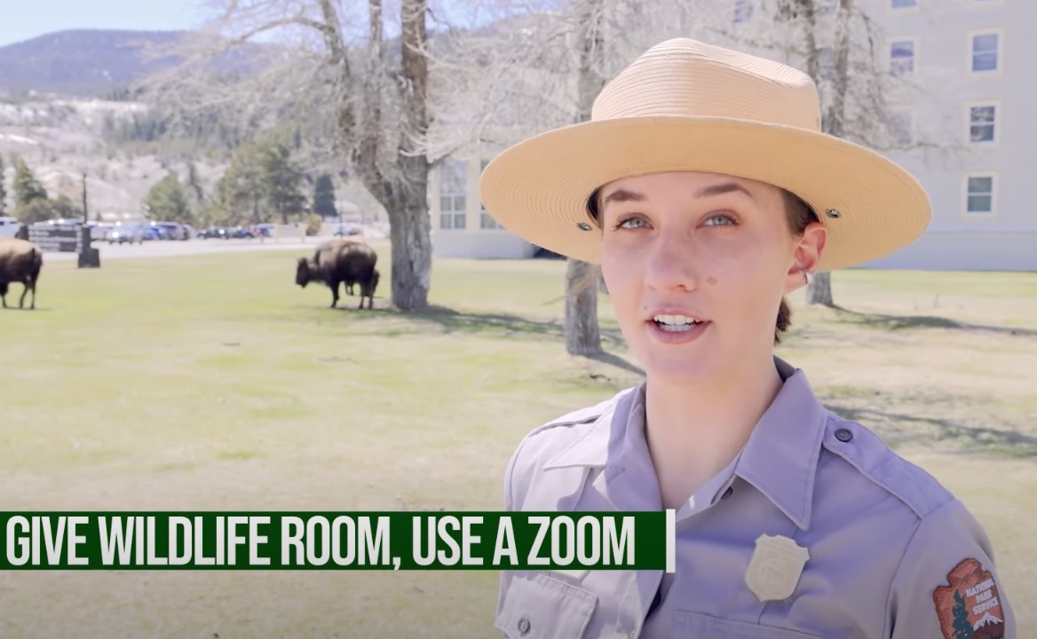 Top 10 Tips For Visiting Yellowstone National Park